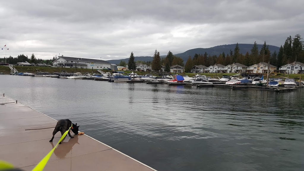 Canvas Man The | #77-3877 Captains Village Way, Scotch Creek, BC V0E 3L0, Canada | Phone: (888) 955-6166