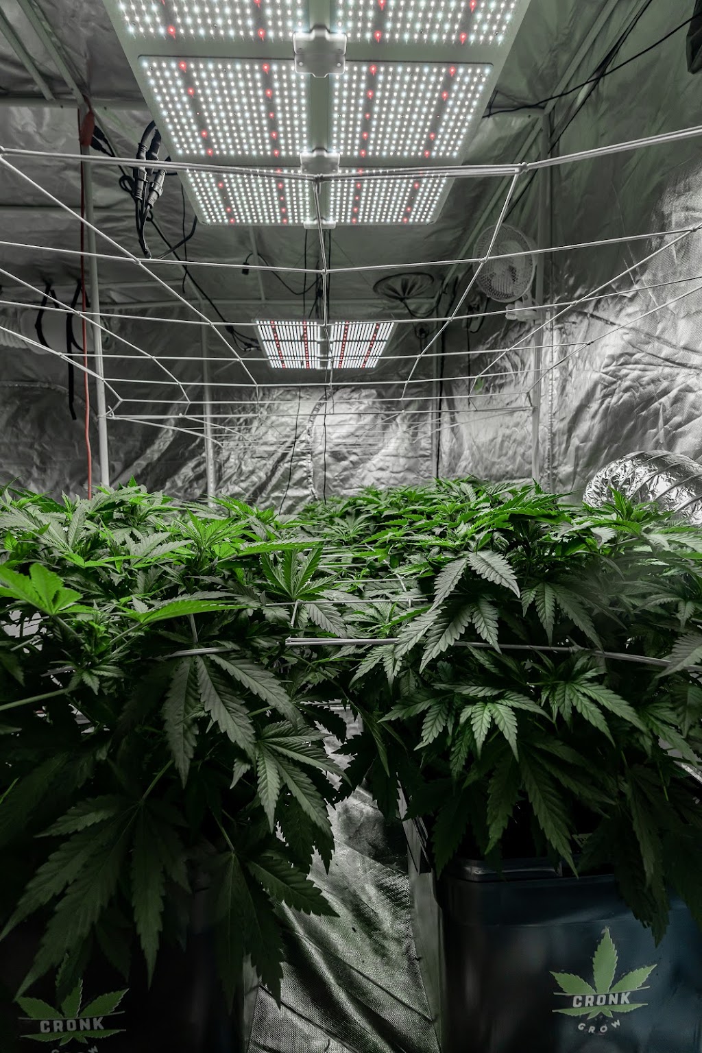 Cronk Grow Nutrients | 560 NB-100, Nauwigewauk, NB E5N 6Z8, Canada | Phone: (855) 276-6549
