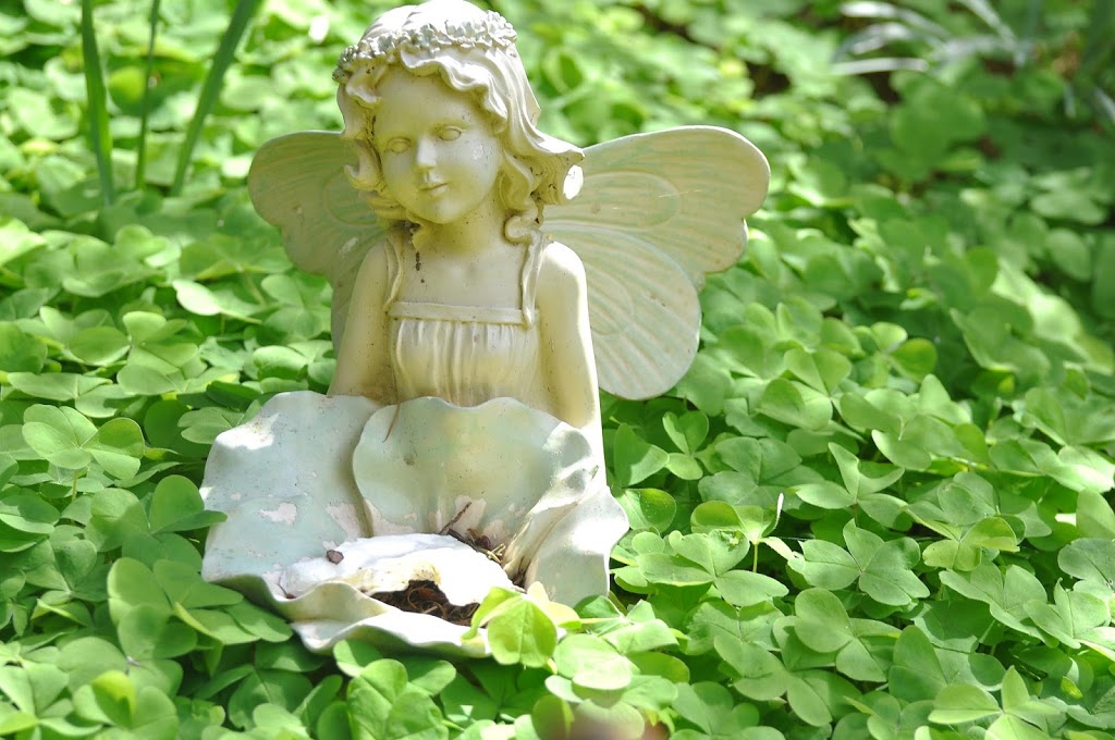 Tree Frog Farm | 3679 Sunrise Rd, Lummi Island, WA 98262, USA | Phone: (360) 758-7260