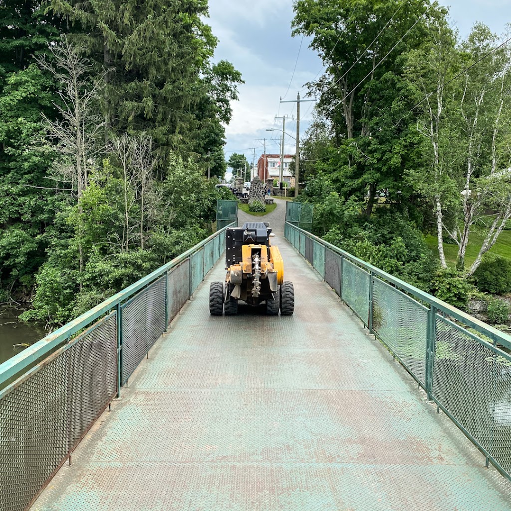 Sequoia Tree Services | 14719 Bayham Dr, Tillsonburg, ON N4G 4G8, Canada | Phone: (519) 852-5323