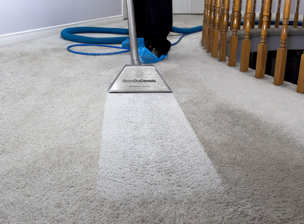 UltiClean Inc. | 35 Diamond Ct, Hamilton, ON L9C 7V5, Canada | Phone: (647) 676-0576