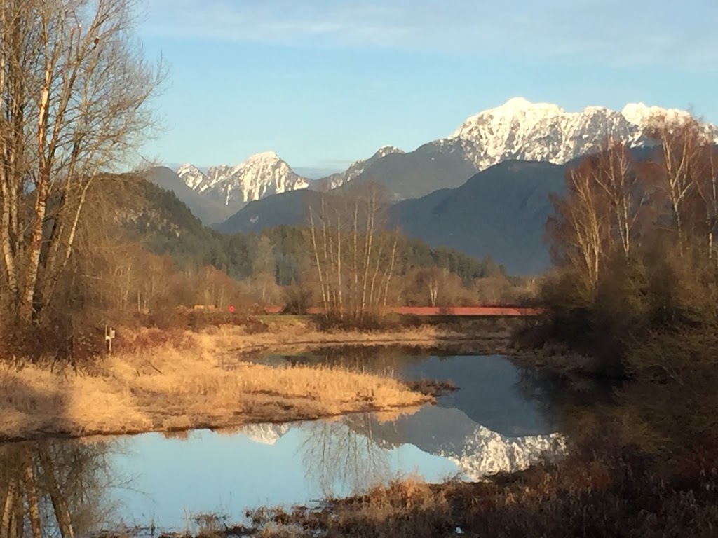 De Boville Slough | 4110 Cedar Dr, Coquitlam, BC V3E 3H7, Canada | Phone: (604) 927-7946