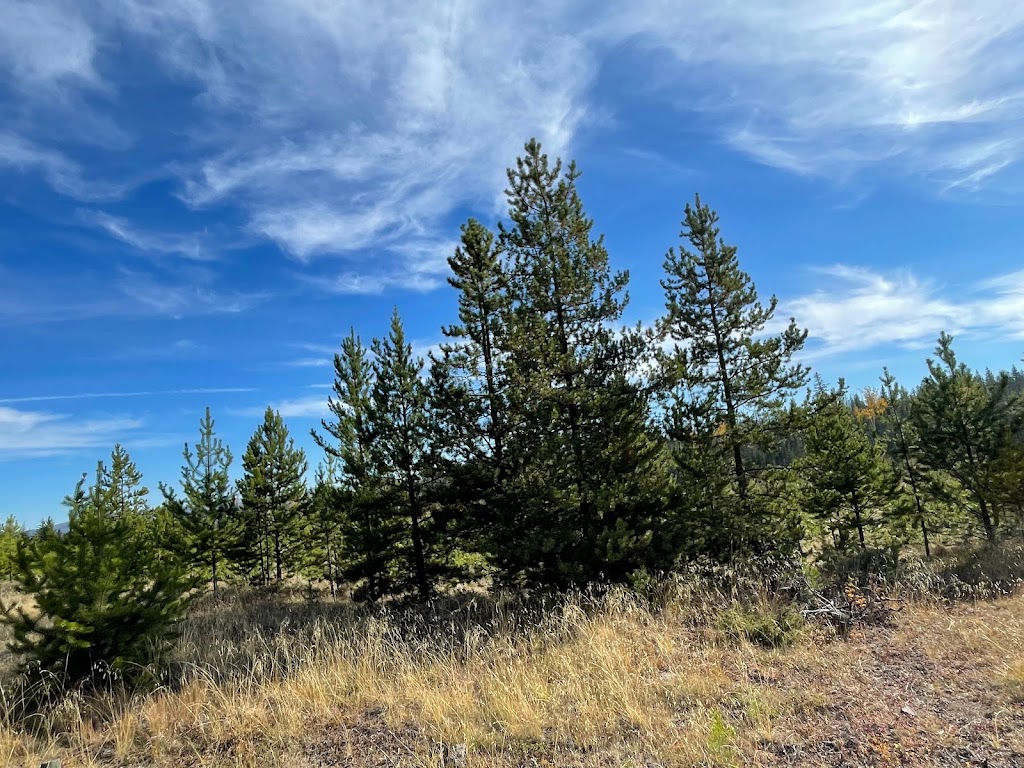 Village of Clinton | 1423 Cariboo Hwy, Clinton, BC V0K 1K0, Canada | Phone: (250) 459-2261