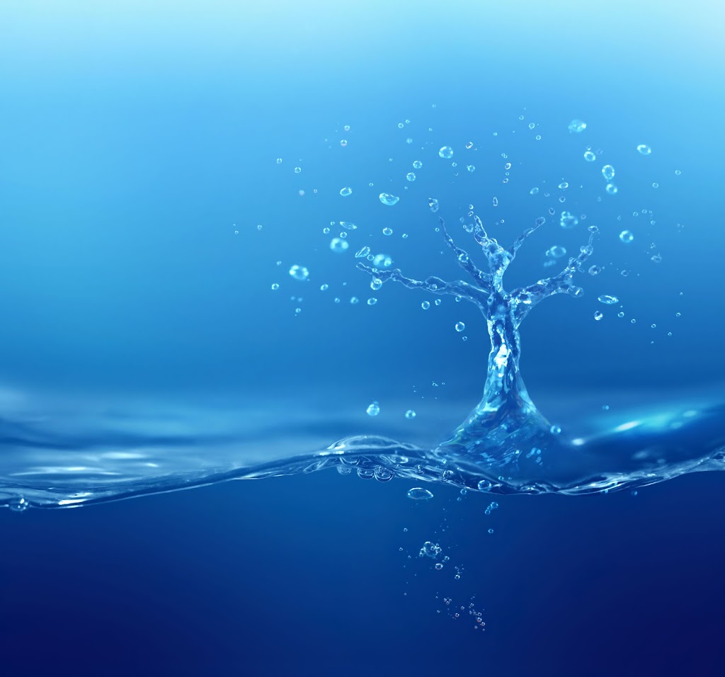 Environmental Cistern Cleaning Inc. | 487 Stirling Ave, Nanaimo, BC V9R 5R5, Canada | Phone: (250) 247-9797
