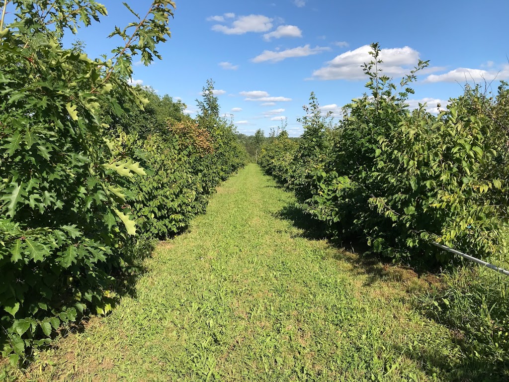 ArborInnov inc. | 2200 QC-222, Saint-Denis-de-Brompton, QC J0B 2P0, Canada | Phone: (819) 679-6689