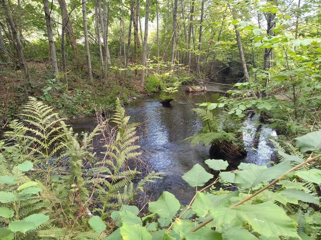 Thacker Regional Park | 20840 Union Bar Rd, Hope, BC V0X 1L1, Canada | Phone: (604) 702-5000
