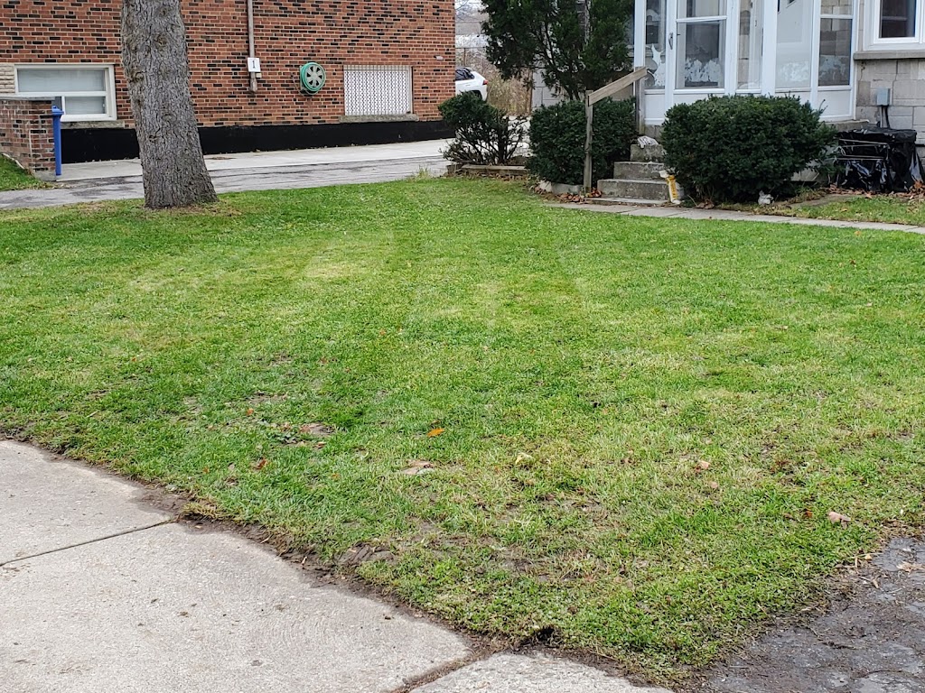Speedylandscaping | 3487 Upper James St, Mount Hope, ON L0R 1W0, Canada | Phone: (289) 301-4767