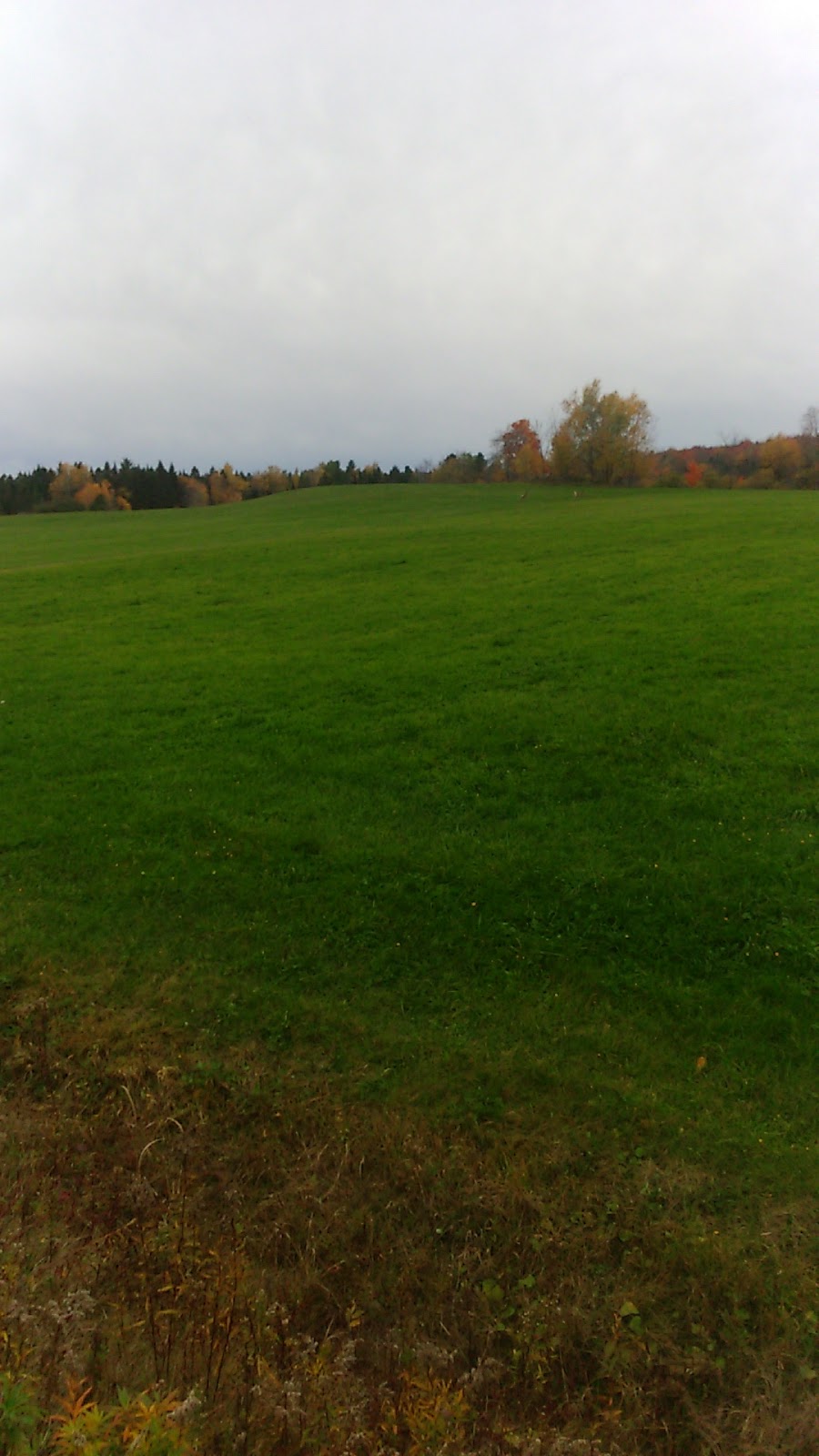 Construction MC Girard Inc | 122 Chemin des Loyalistes, Stukely, QC J0E 2J0, Canada | Phone: (450) 297-2225