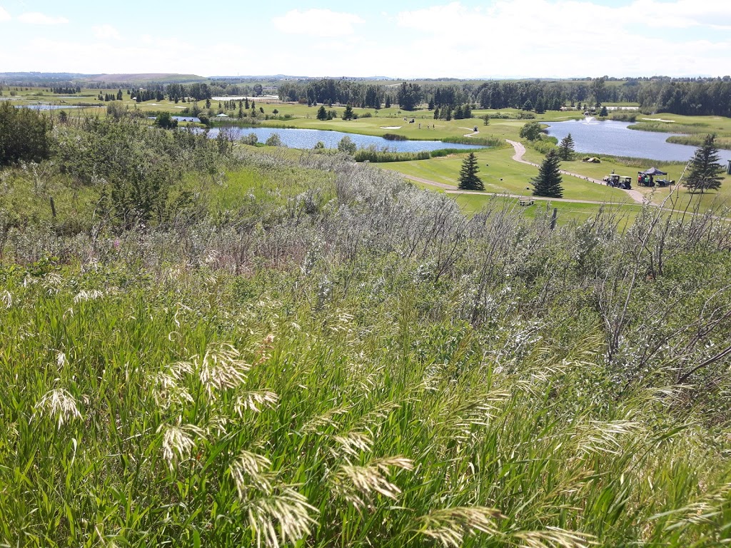 McKenzie Meadows Golf Club | 17215 McKenzie Meadows Dr SE, Calgary, AB T2Z 2T9, Canada | Phone: (403) 257-2255