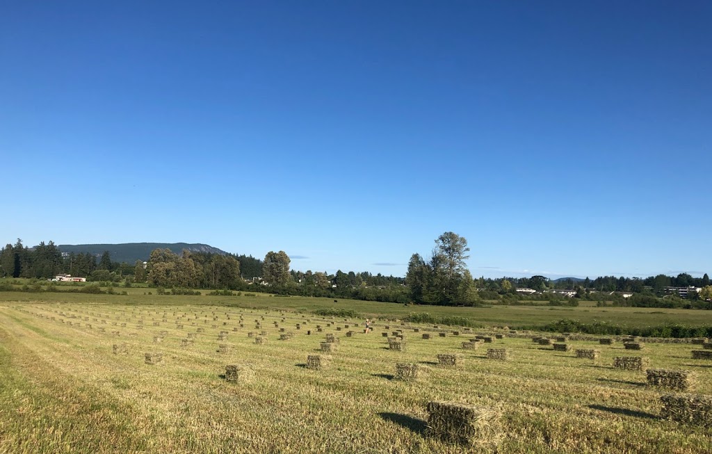 Island Grass | 2692 Mt Sicker Rd, Chemainus, BC V0R 1K4, Canada | Phone: (250) 710-5479