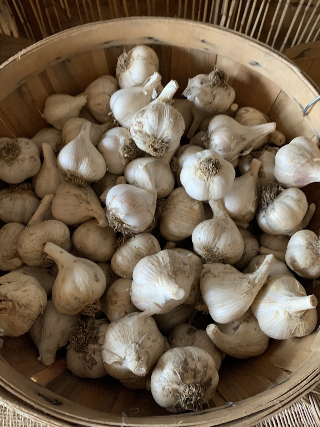 Meadow View Garlic Farm | 679 Columbus Rd E, Oshawa, ON L1H 8L7, Canada | Phone: (905) 809-1629