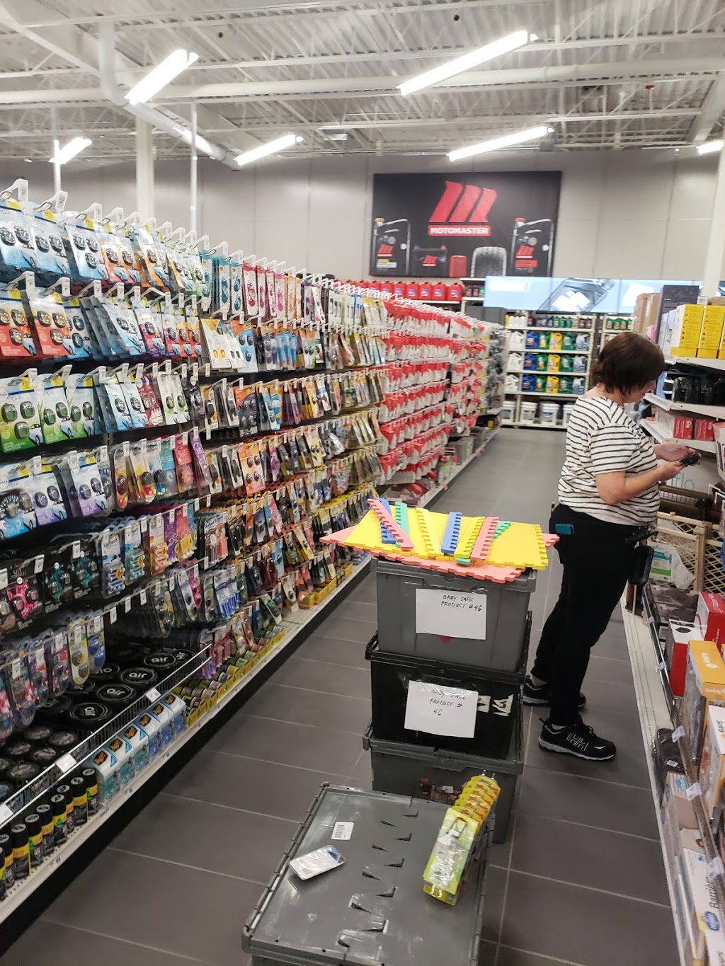 Canadian Tire | 119 Osler Dr, Dundas, ON L9H 6X4, Canada | Phone: (905) 627-3533