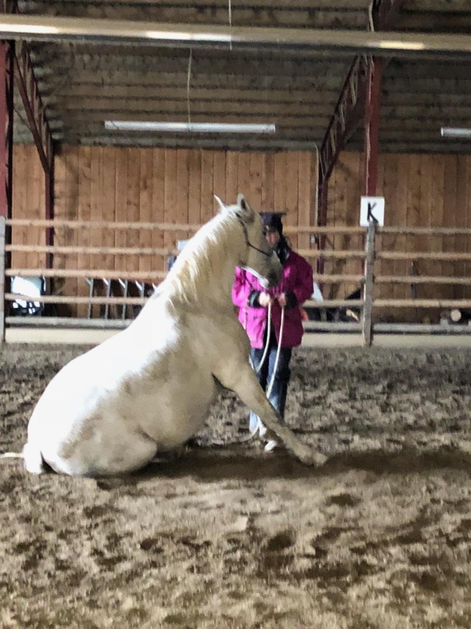 The Dragonfly Ranch | Range Rd 52, Water Valley, AB T0M 2E1, Canada | Phone: (403) 608-2985
