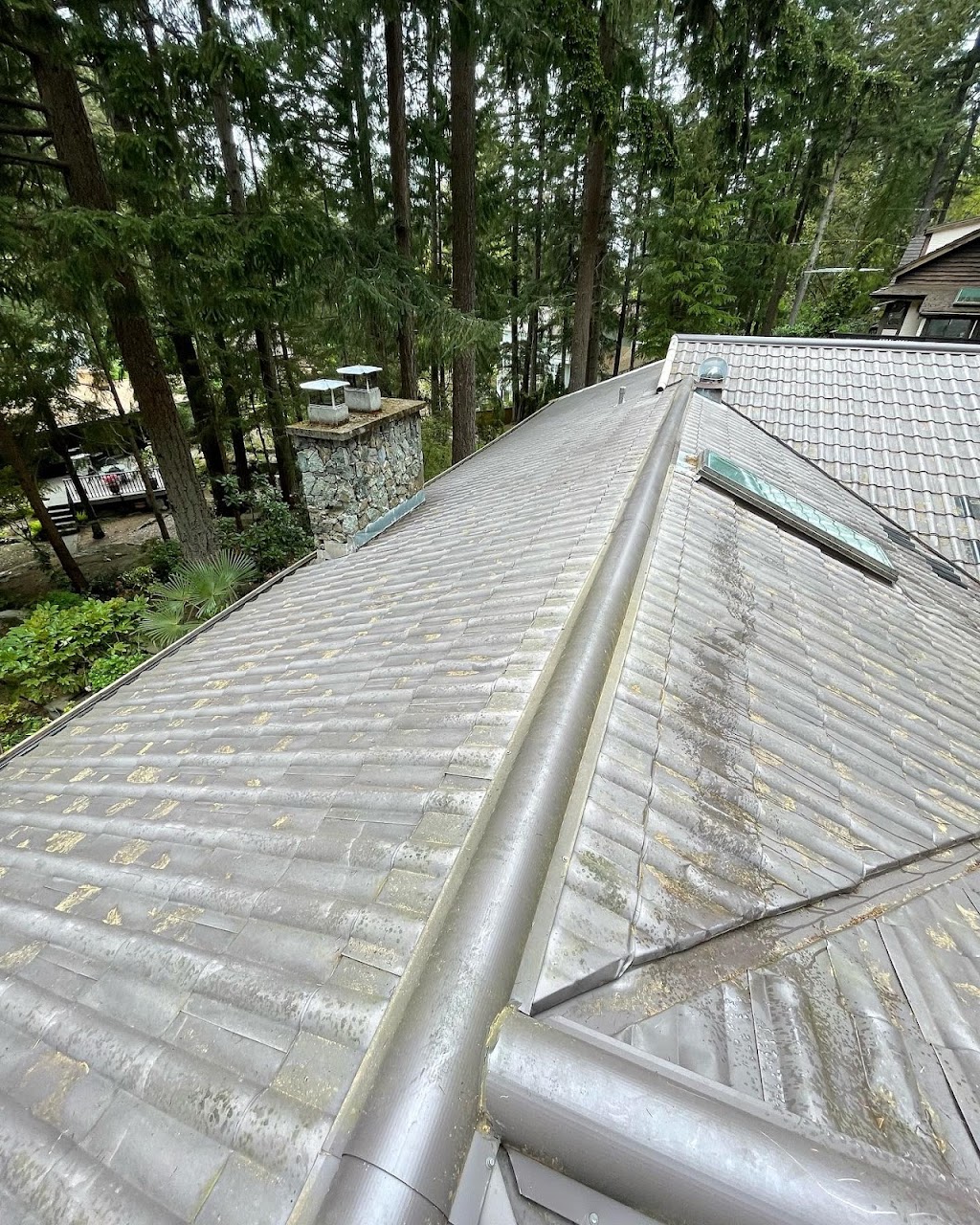 ECS Exterior Cleaning Services | 3566 Desmond Dr, Victoria, BC V9C 3T1, Canada | Phone: (250) 588-2864