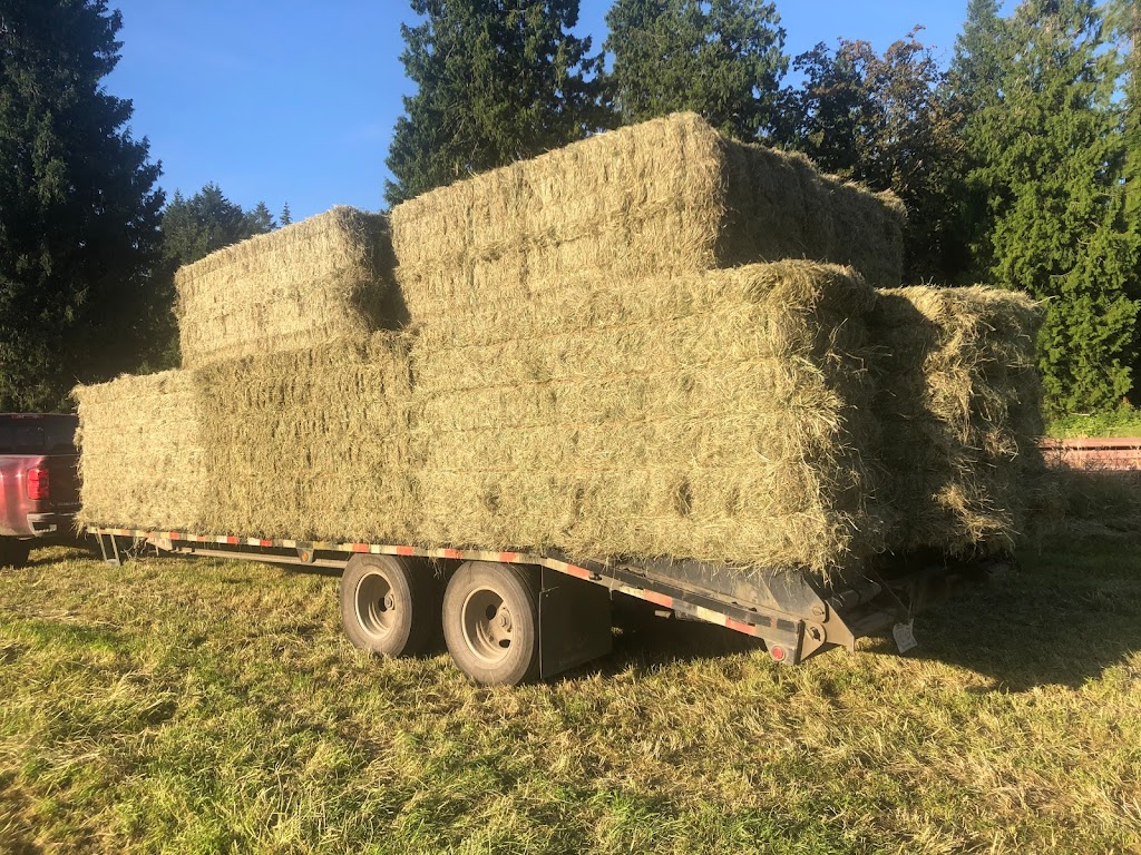 Island Grass | 2692 Mt Sicker Rd, Chemainus, BC V0R 1K4, Canada | Phone: (250) 710-5479