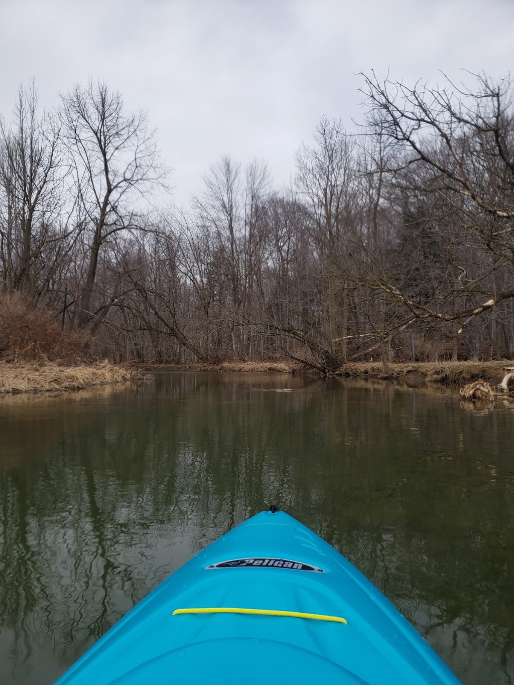 Morrison Dam Conservation Area | RR 3, 71108 Morrison Line, Exeter, ON N0M 1S5, Canada | Phone: (519) 235-2610