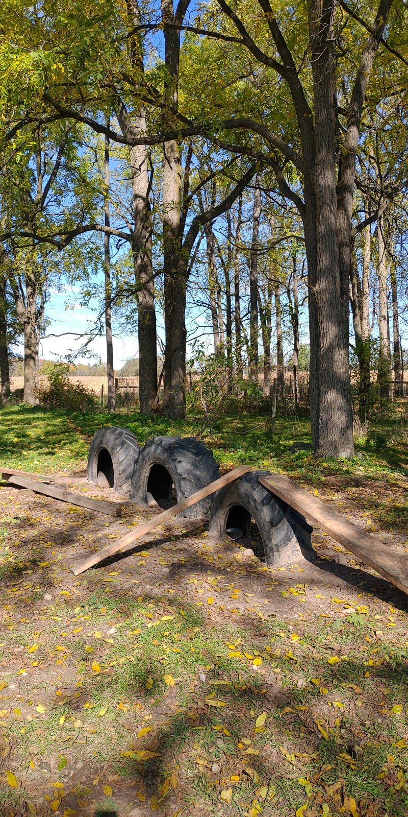 Cambridge Farm and Forest School | 3238 Old Beverly Rd, Cambridge, ON N1R 5S7, Canada | Phone: (226) 533-9591