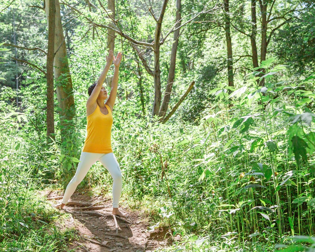 Sukha Surya Yoga & Wellness | 204 Orchard Grove Rd, Grafton, ON K0K 2G0, Canada | Phone: (416) 565-0540