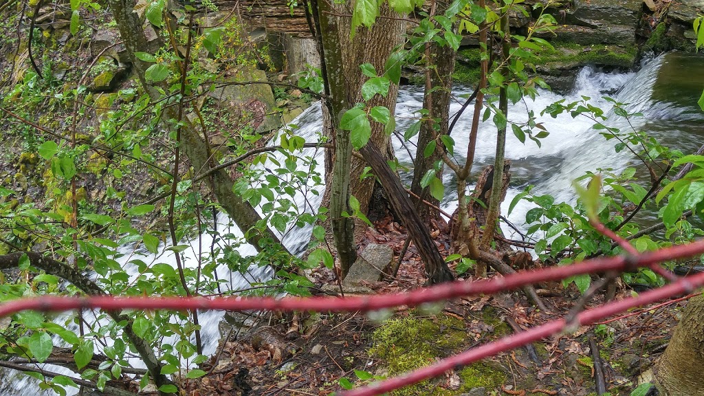 Webwood Falls Nature Reserve | Sideroad 25, Kimberley, ON N0C 1G0, Canada | Phone: (877) 733-4739