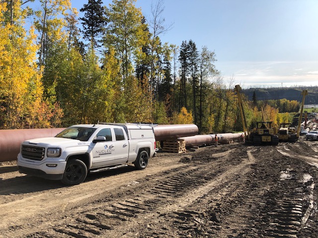 Nucleom Inc | 1109 78 Ave NW, Edmonton, AB T6P 1L8, Canada | Phone: (587) 758-2977