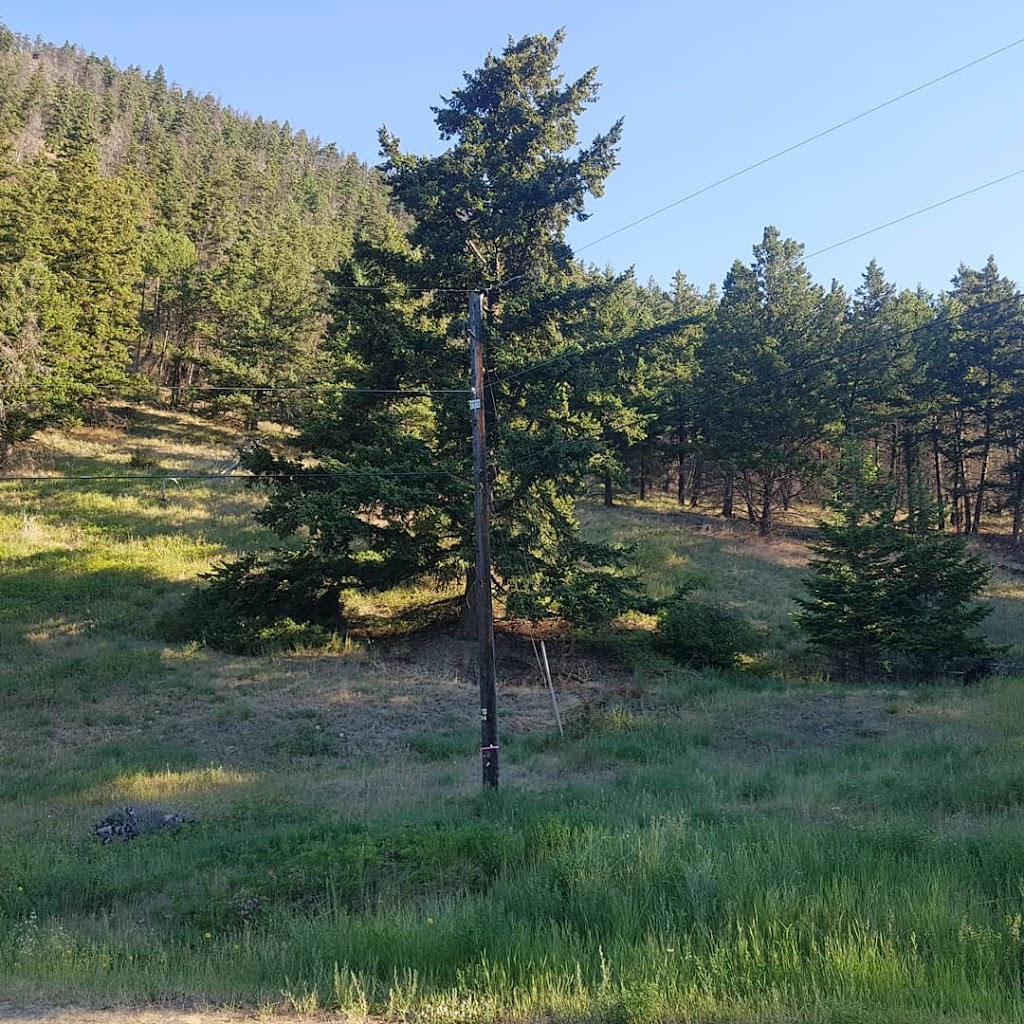 Downing Provincial Park | Pavilion, BC V0K 2H0, Canada | Phone: (250) 320-9305