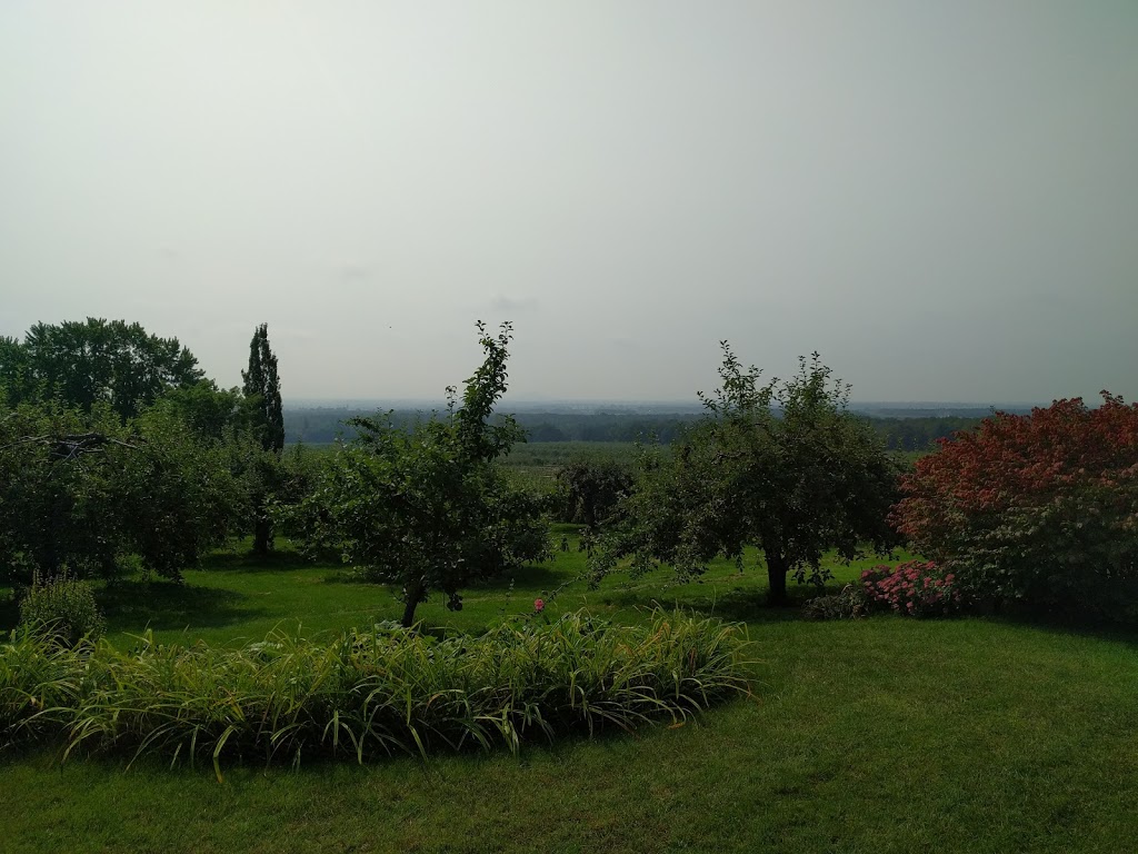 Verger La Vielle Forge | 1112 Chemin de la Montagne, Mont-Saint-Hilaire, QC J3G 4S6, Canada | Phone: (450) 464-0325