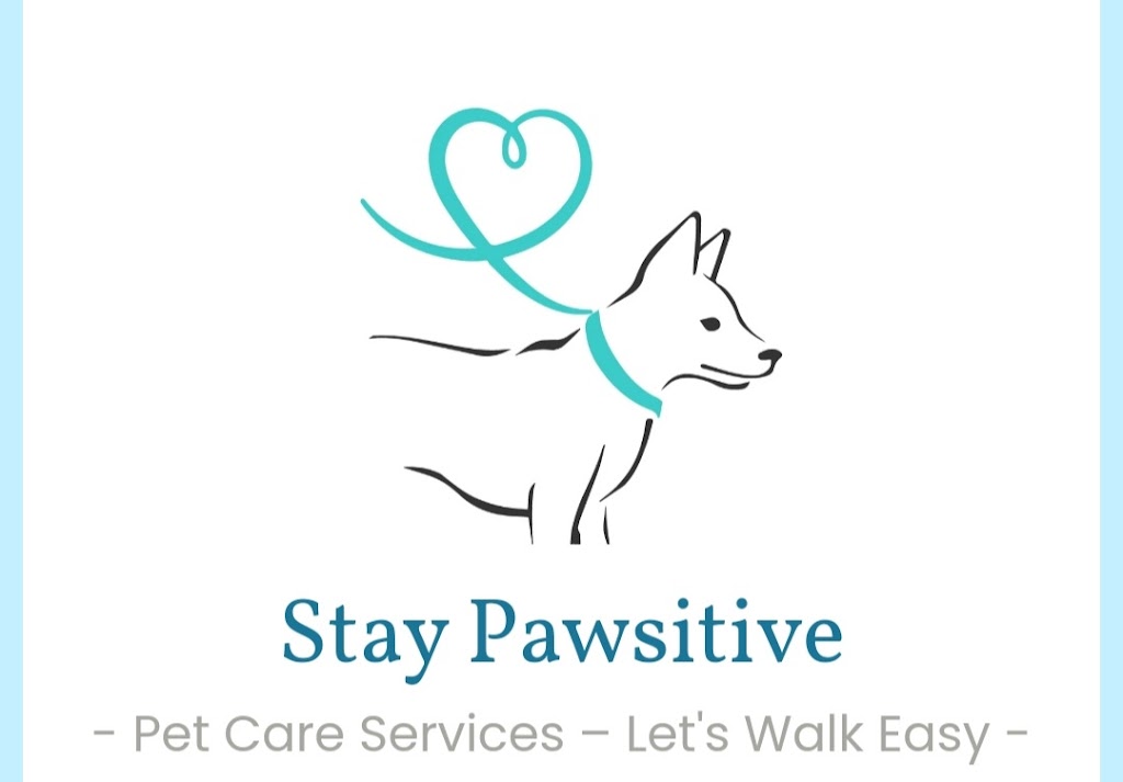 Stay Pawsitive Pet Services | 2460 Kelly Ave, Port Coquitlam, BC V3C 0E3, Canada | Phone: (778) 987-1366