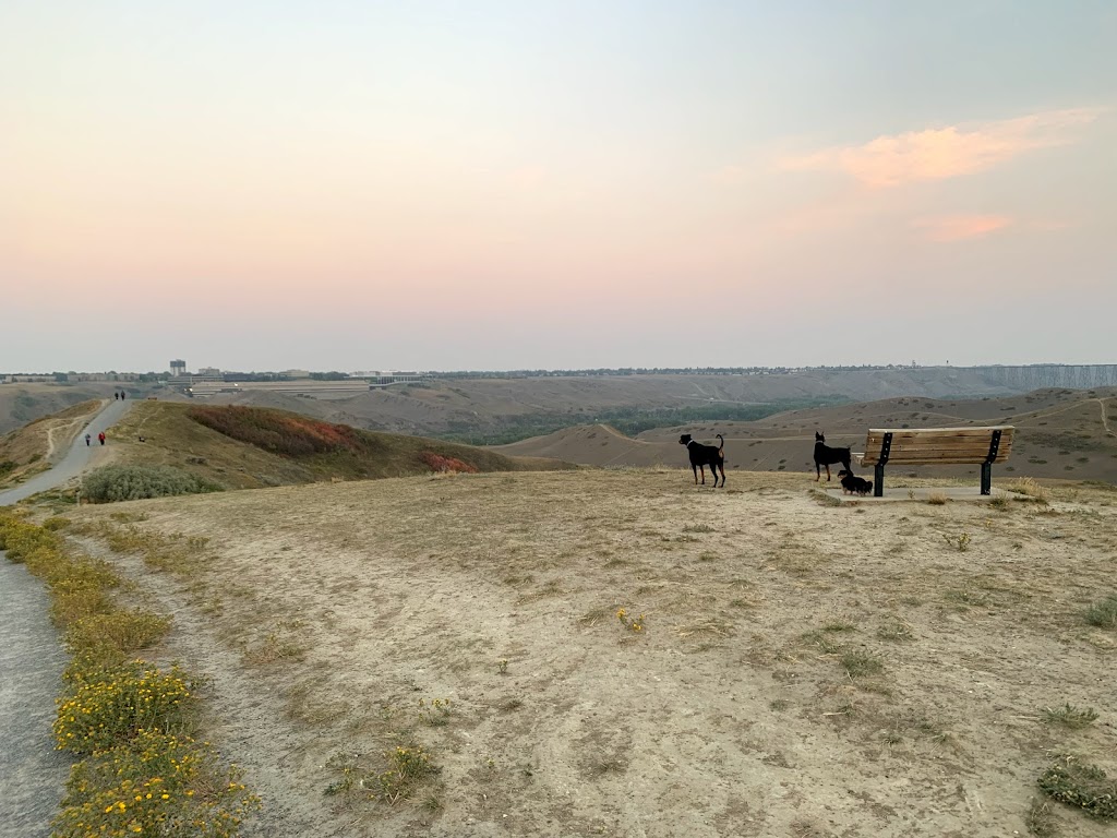 Scenic Drive Dog Run | 1107 6 St S, Lethbridge, AB T1J 1T1, Canada | Phone: (403) 320-4099