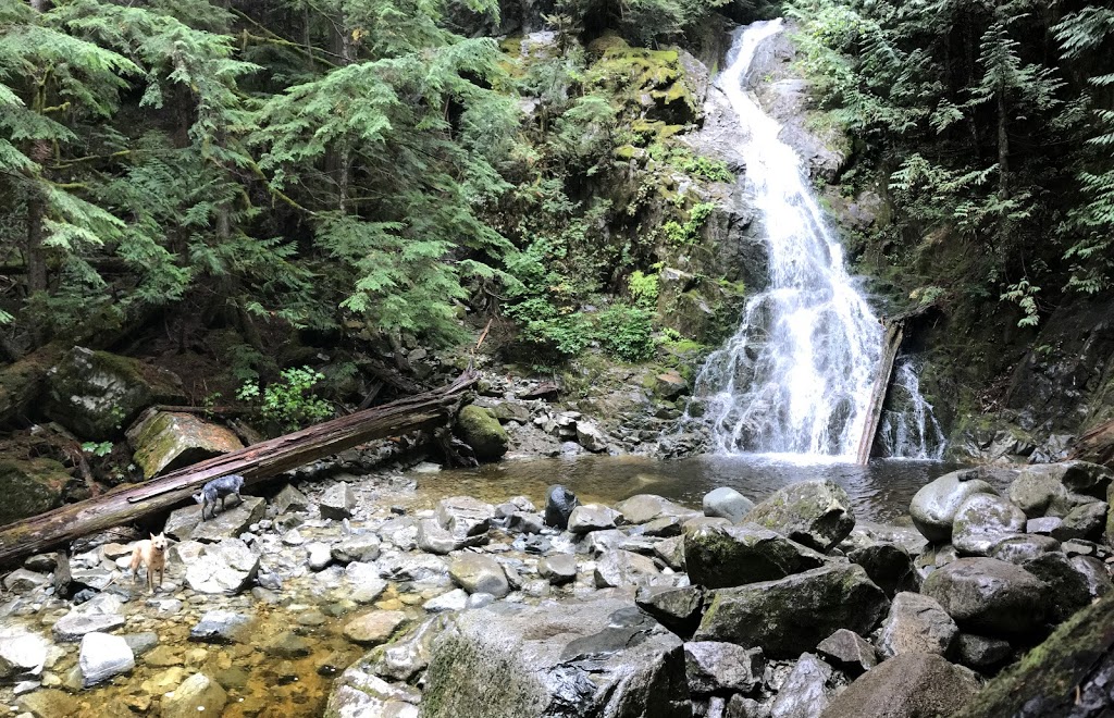 Sawblade Trail | Sawblade Trail, Coquitlam, BC V3E, Canada