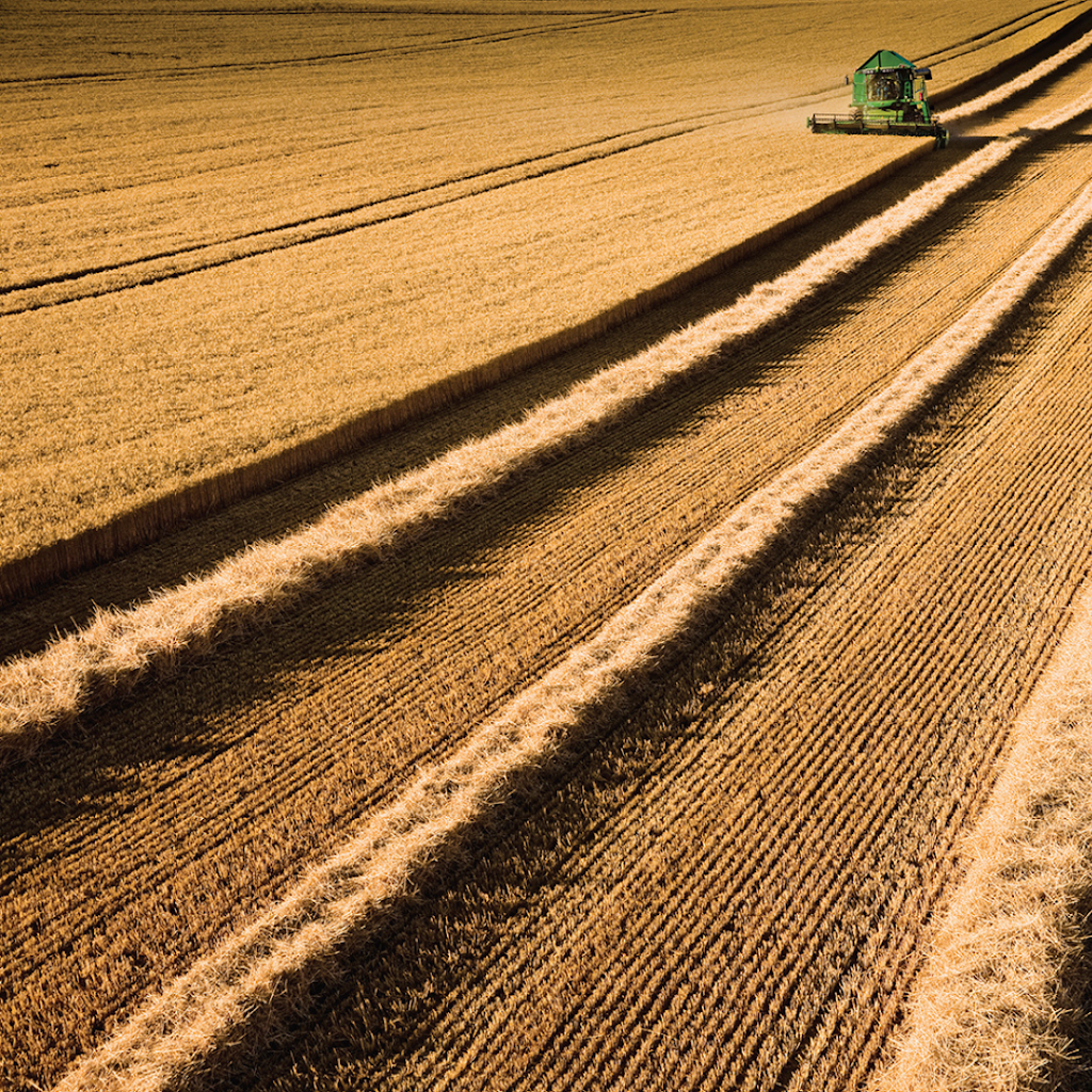 Western Sales (1986) - Biggar | 101 Hwy 14 E, Box 549, Biggar, SK S0K 0M0, Canada | Phone: (306) 948-3909