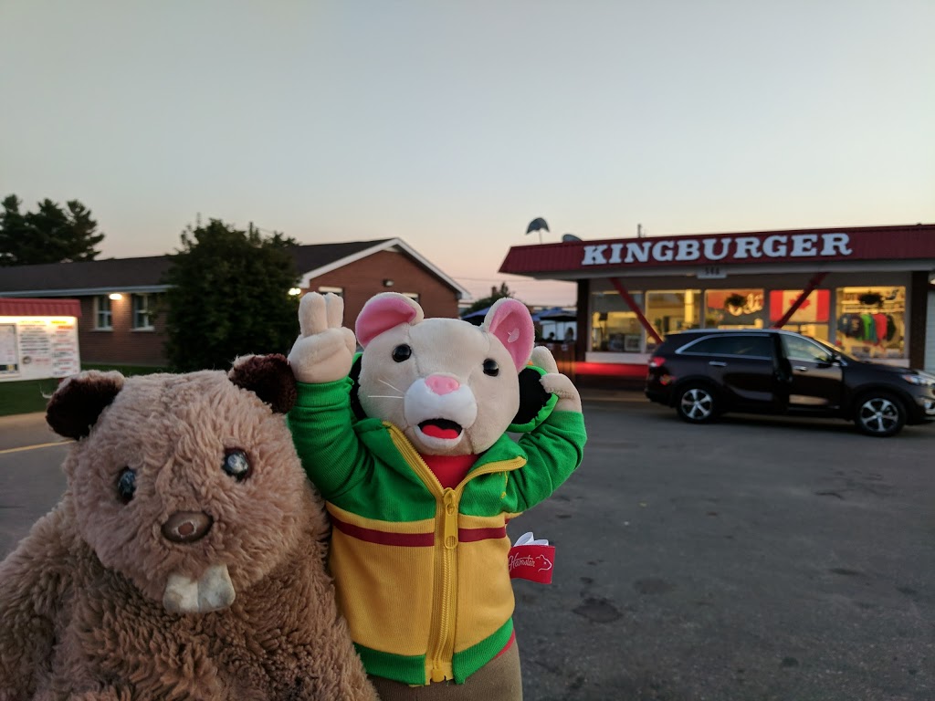 Odis Kingburger Drive-In | 546 Stewart St, Renfrew, ON K7V 1Y6, Canada | Phone: (613) 432-6623
