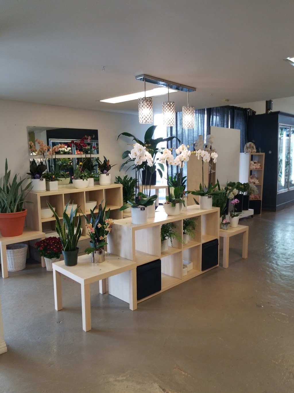 Michka Signé Charbonneau | 97 Rue Cléophas-Charbonneau, Laval, QC H7X 0C4, Canada | Phone: (450) 689-1597