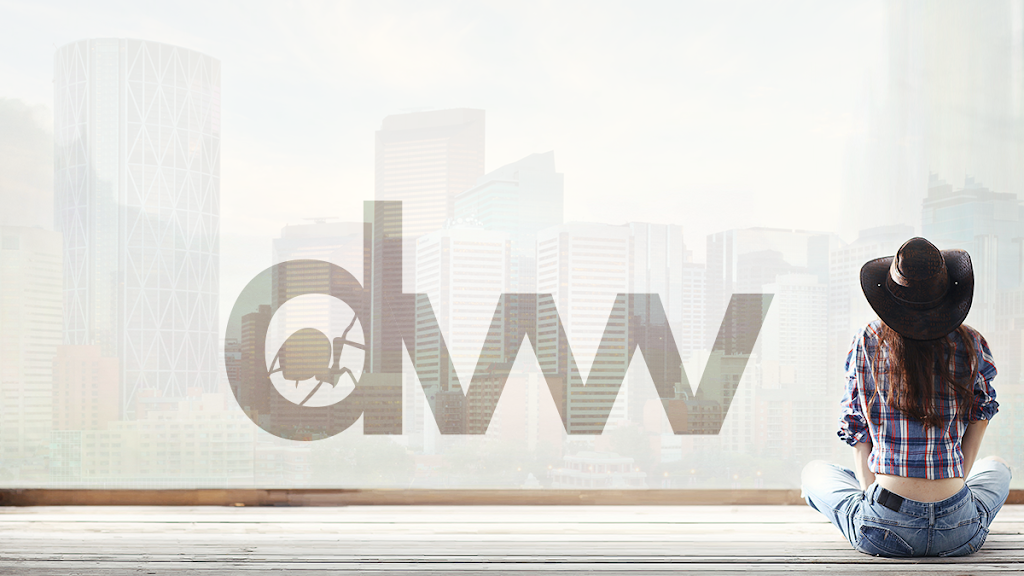 Dreamweaver Webs Ltd. | 36202 Range Rd 40, Spruce View, AB T0M 1V0, Canada | Phone: (403) 728-3661
