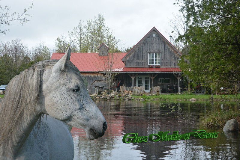 Ranch Tibalain | 209 Chemin de Béthanie, Béthanie, QC J0E 2L1, Canada | Phone: (514) 972-6789