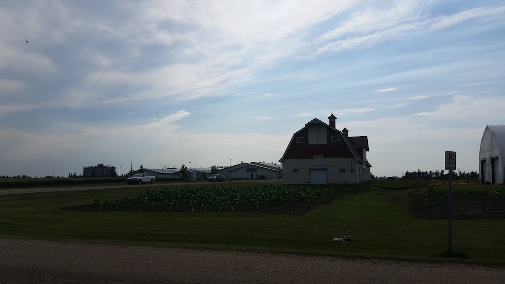 Swine Research & Technology Centre | 5923 118 St NW, Edmonton, AB T6H 2V8, Canada | Phone: (780) 492-7688