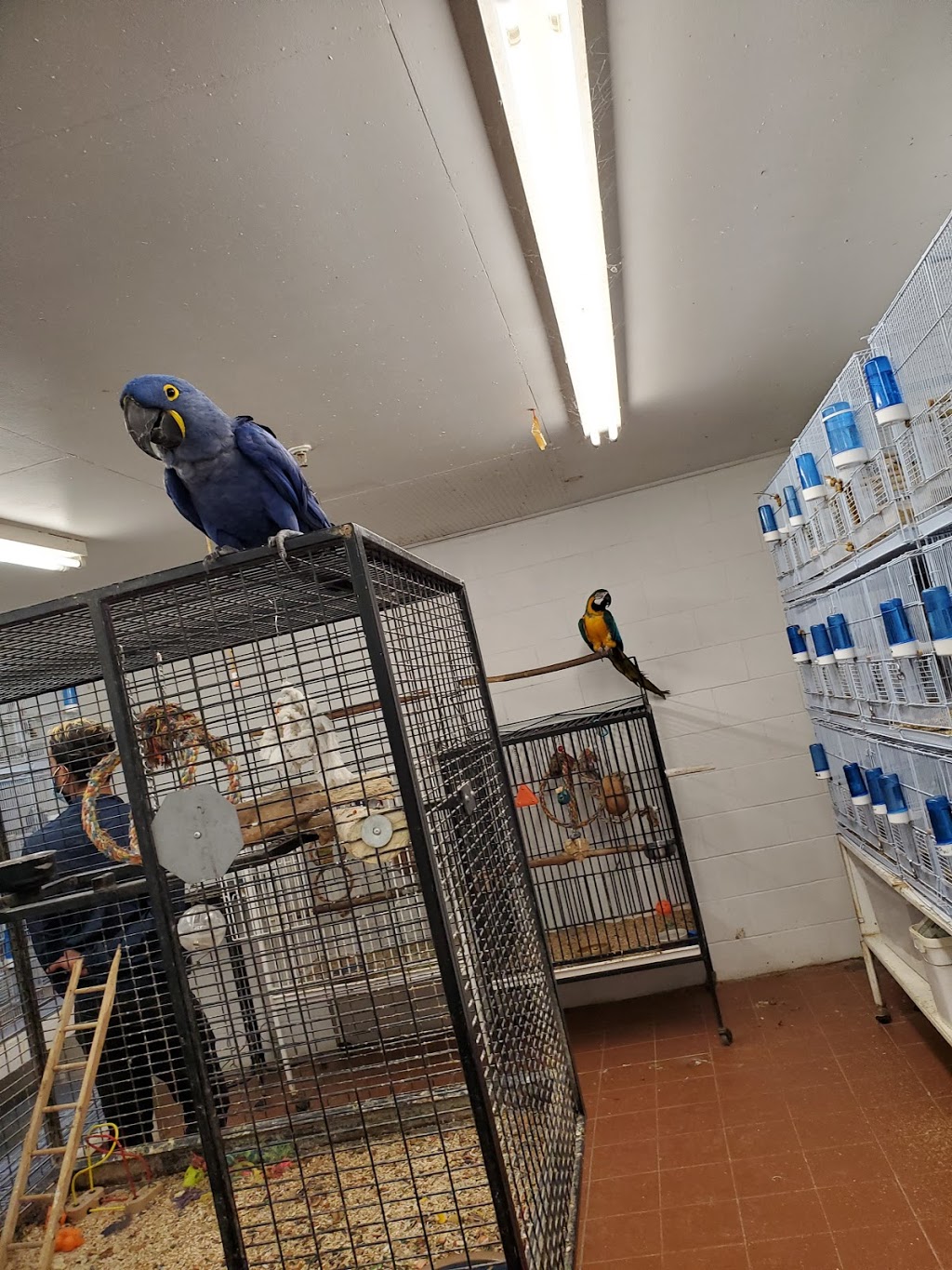 Vinces Pet Centre | 91 Friuli Ct, Woodbridge, ON L4L 7H2, Canada | Phone: (905) 856-0426