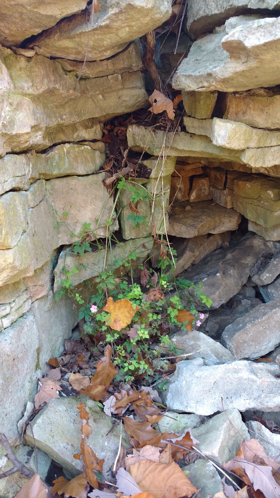 Royal Botanical Gardens Berry Tract | Bruce Trail, Dundas, ON L9H 5S7, Canada | Phone: (905) 527-1158