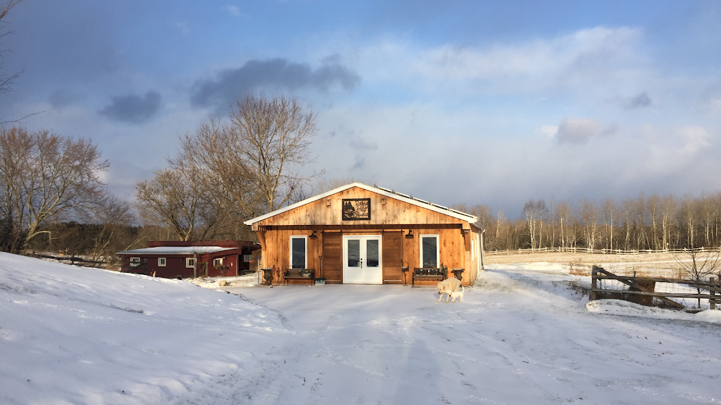 Rolling Hills Studio | S10445 Side Road 17, Sunderland, ON L0C 1H0, Canada | Phone: (416) 884-0812