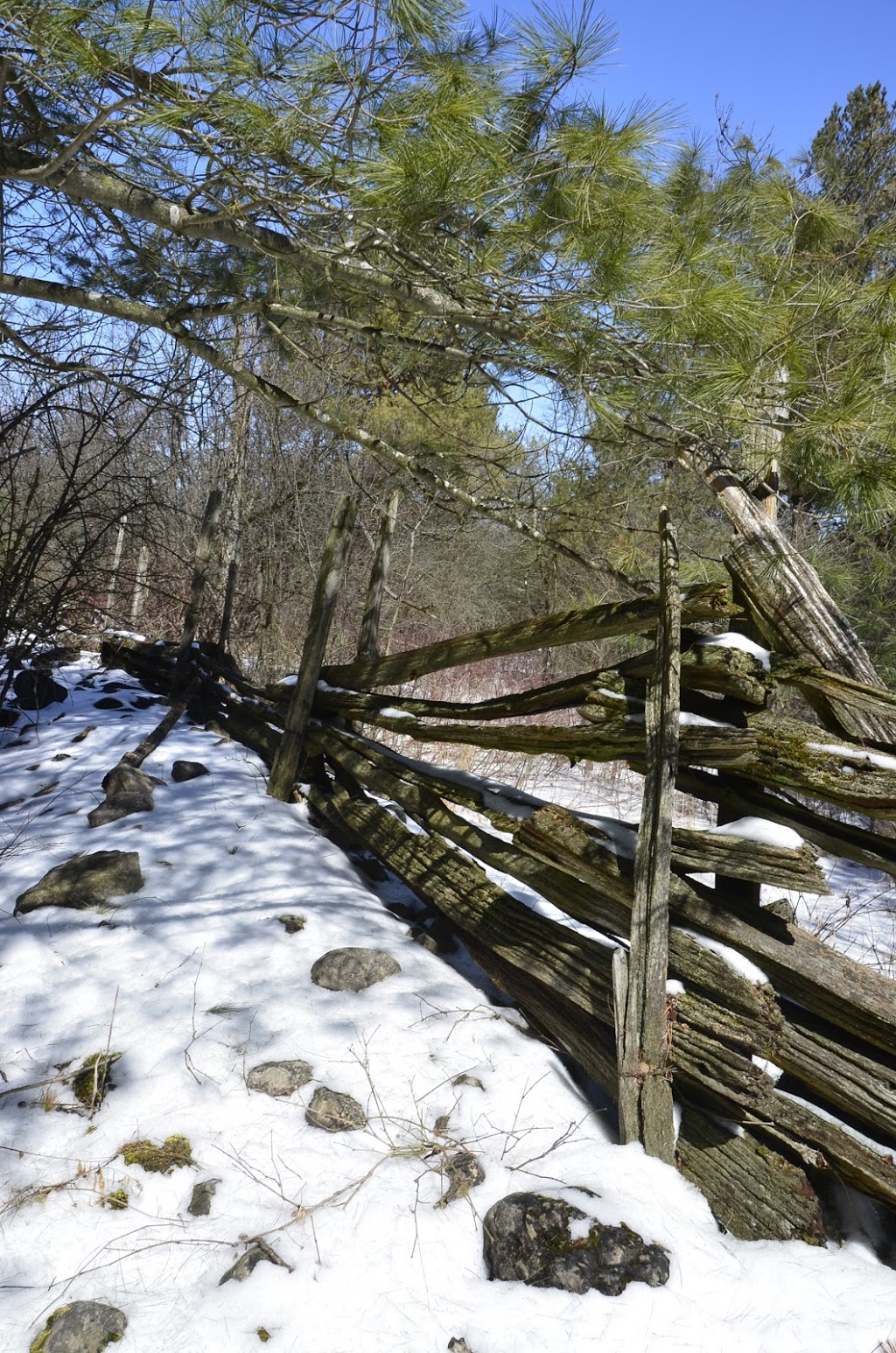 Starkey Hill Conservation Area | 735 Arkell Rd, Puslinch, ON N0B, Canada | Phone: (519) 824-5061