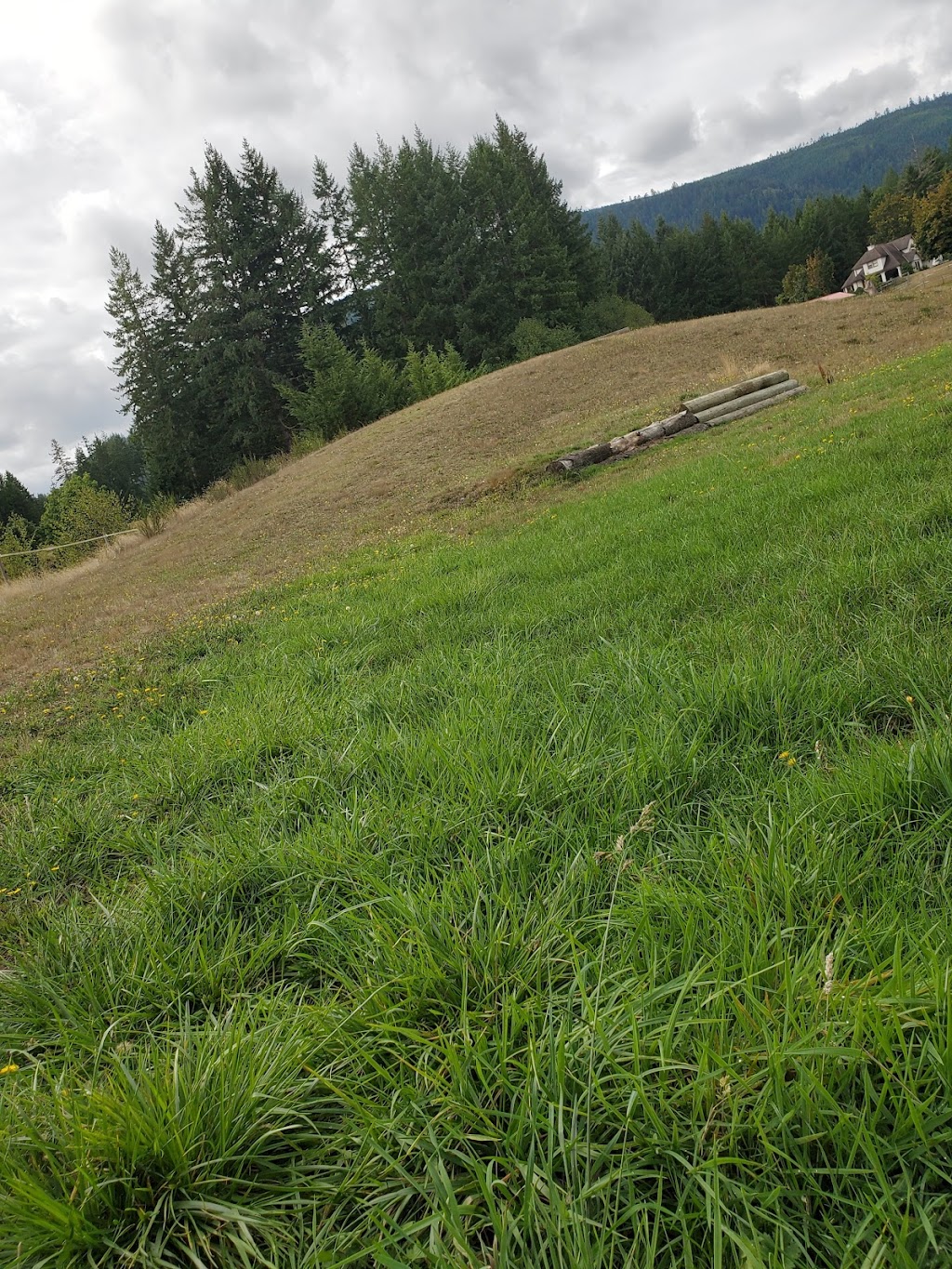 Hi-Point Hay Ltd. | 3590 Cavin Rd, Duncan, BC V9L 6T2, Canada | Phone: (250) 248-7773