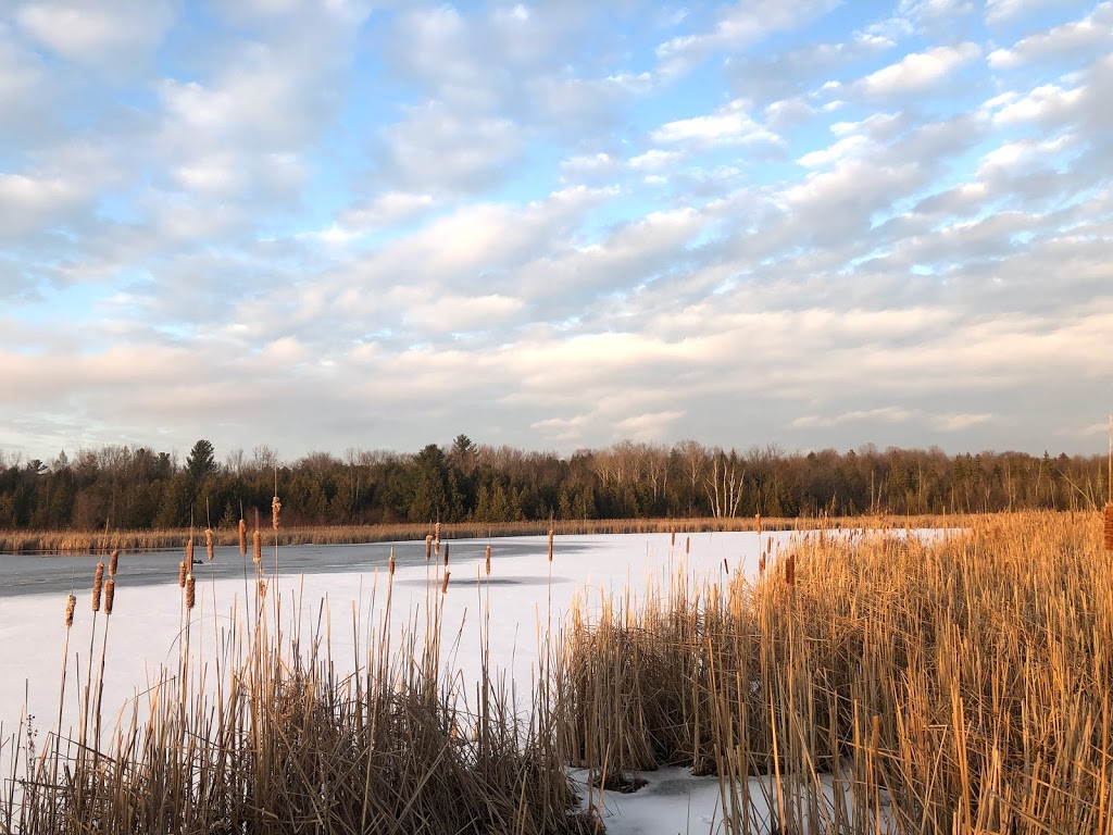 RESERVOIR/CONSERVATION AREA | Whitchurch-Stouffville, ON L0G, Canada