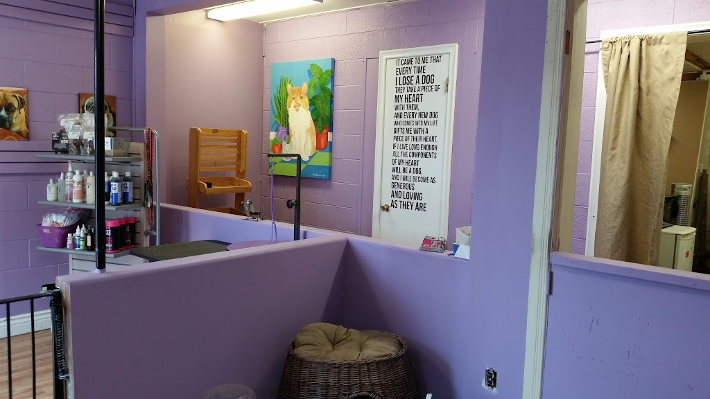 Royal Pet Spa | 140 Thorold Rd, Welland, ON L3C 3V5, Canada | Phone: (905) 735-7297