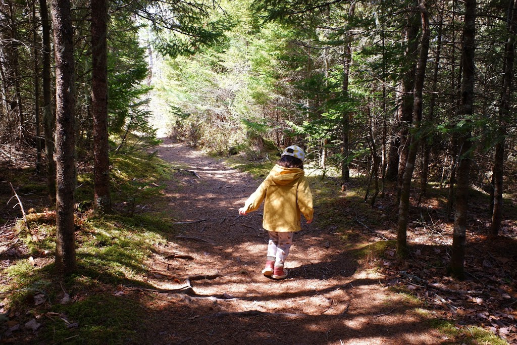 MacElmons Pond Provincial Park | 219 MacElmon Rd, Debert, NS B0M 1G0, Canada | Phone: (866) 230-1586
