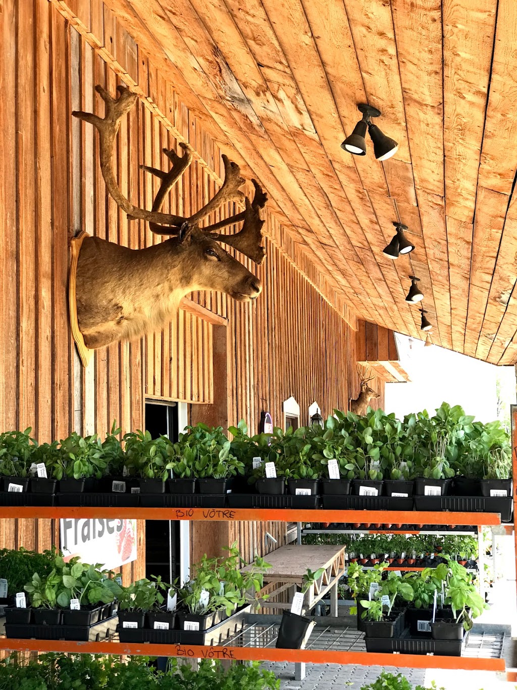 Farm Mount Bruno Inc. | 225 Rang des Vingt Cinq E, Saint-Bruno-de-Montarville, QC J3V 4P6, Canada | Phone: (450) 461-0099