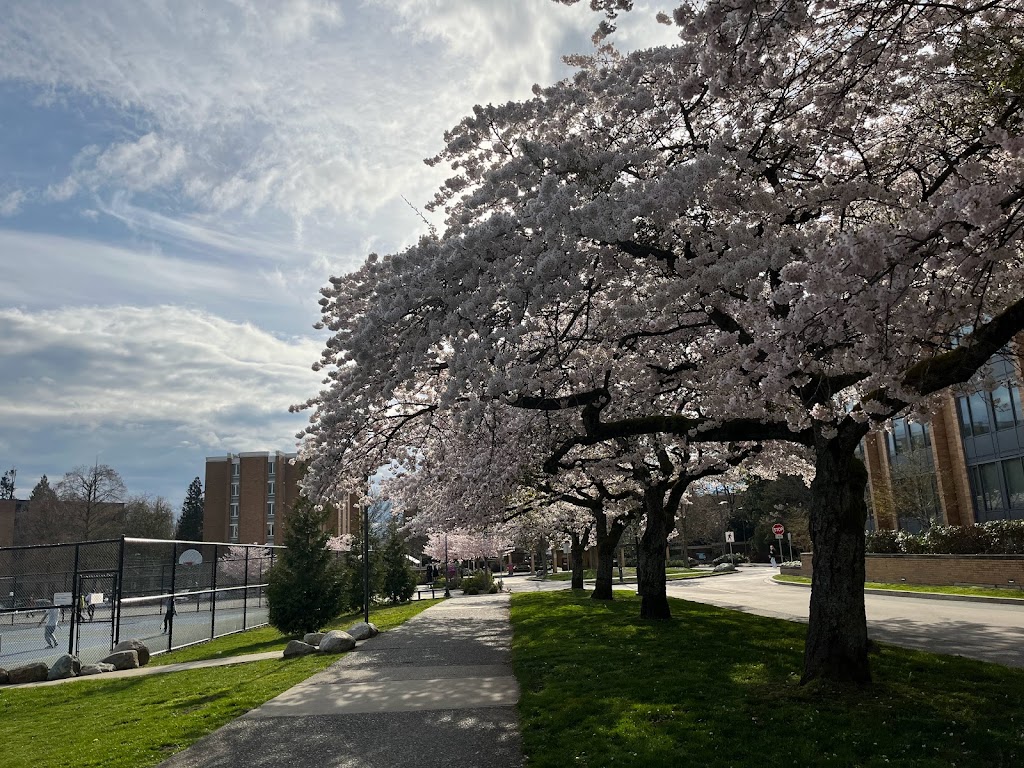 Reconciliation Pole | 2373-2425 Main Mall, Vancouver, BC V6T 1Z4, Canada | Phone: (604) 822-2484