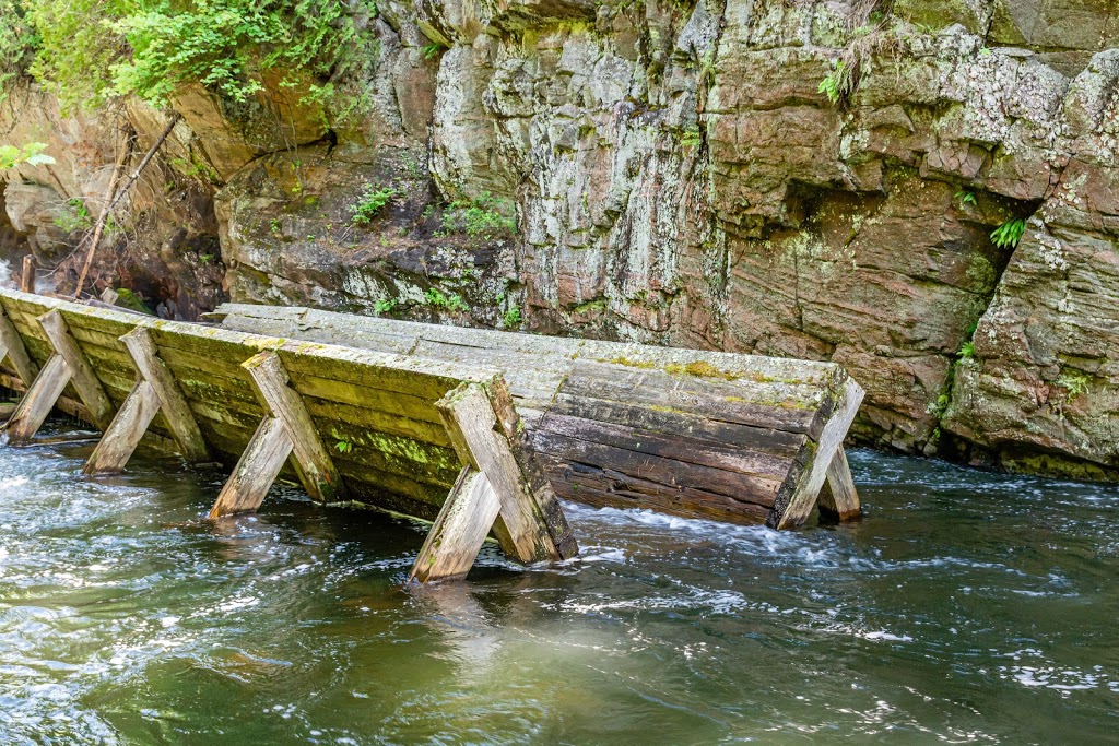 Crests Of Kennisis Trailhead | Algonquin Highlands, ON K0M 1J2, Canada | Phone: (705) 766-9033