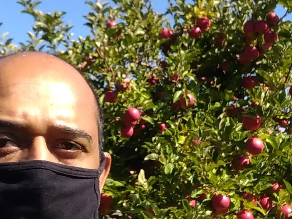 Williams Orchard | 10101 Hume Ct, Milton, ON L9T 2X9, Canada | Phone: (905) 876-4220