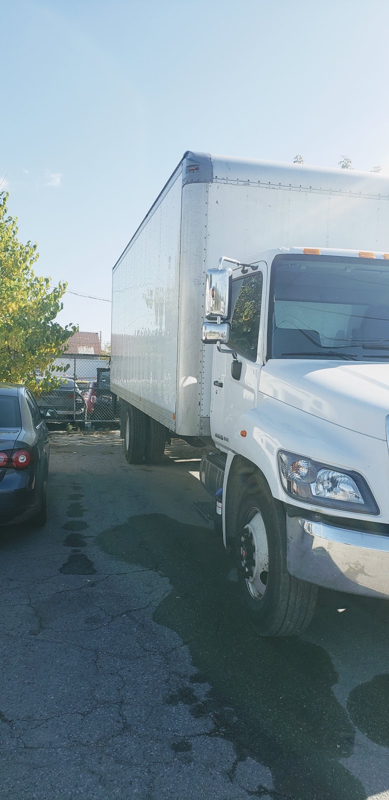 Toronto movers - Euro Moving | 85 Emmett Ave, Toronto, ON M6M 5A2, Canada | Phone: (647) 614-2129