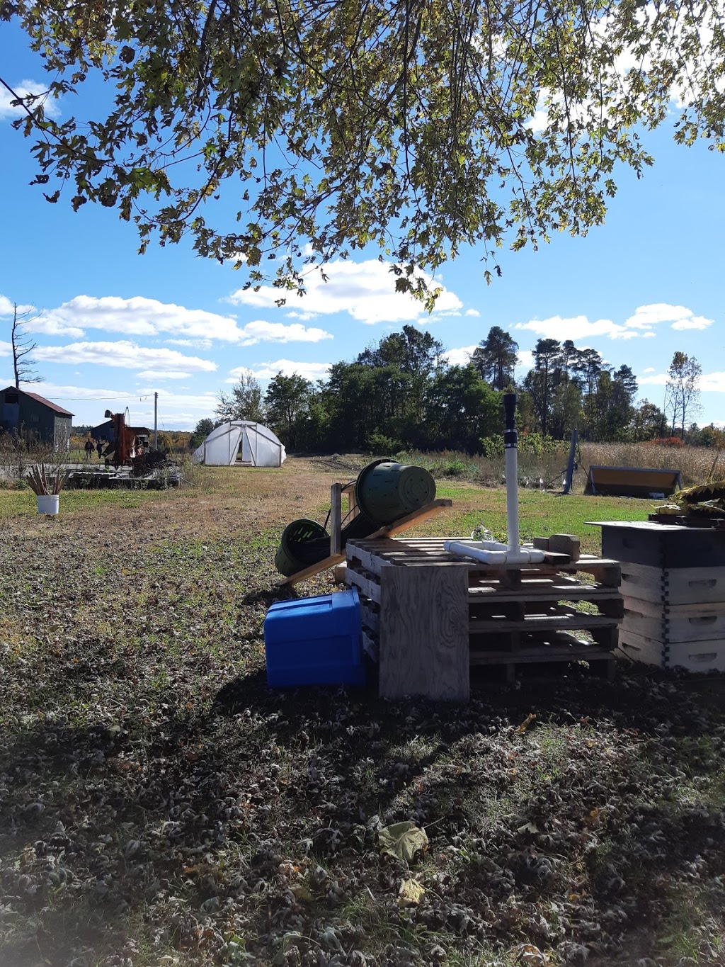 Dancing Pig Farms | 722 Concession Rd 6, Walsingham, ON N0E 1X0, Canada | Phone: (416) 721-6544
