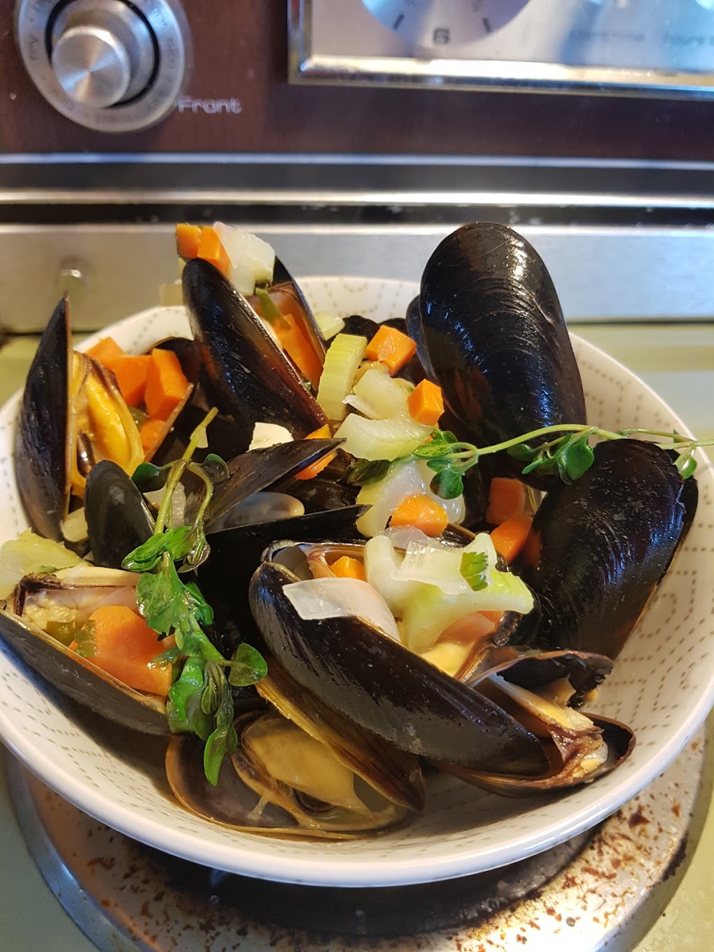 Logans daily catch | Westville, NS B0K, Canada | Phone: (902) 485-4633